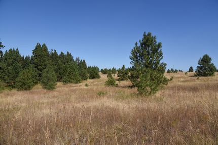 Property in Benewah County, Idaho
