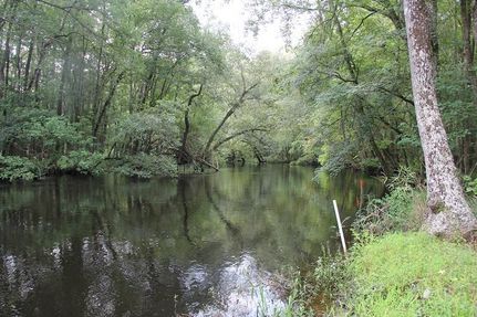 Property in Orangeburg County, South Carolina