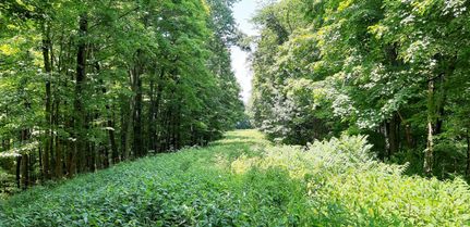 Property in Wetzel County, West Virginia