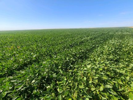 Property in Clark County, South Dakota