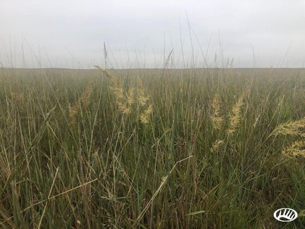 Property in Harper County, Oklahoma