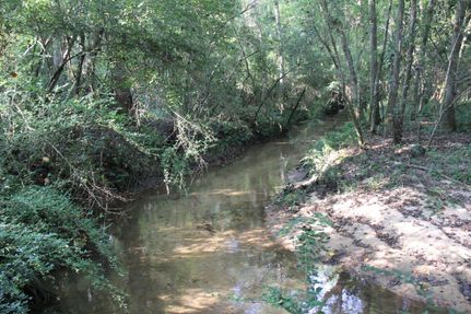 Property in Geneva County, Alabama