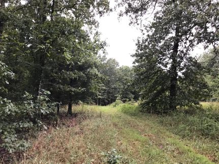 Property in Ozark County, Missouri