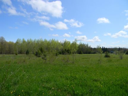 Property in Houghton County, Michigan