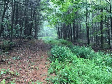 Property in Greene County, New York