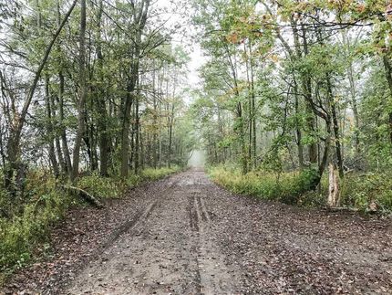 Property in Carroll County, Ohio