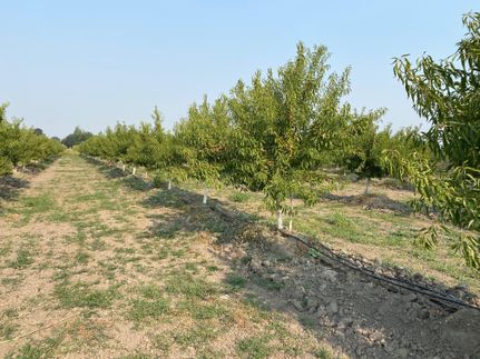 Property in Sacramento County, California