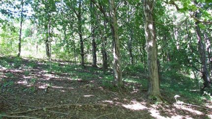 Property in Oswego County, New York