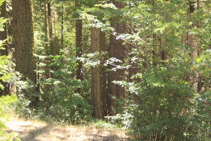 Property in Calaveras County, California