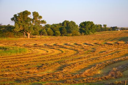 Property in Barton County, Kansas