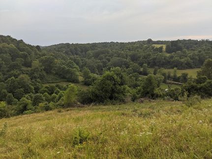 Property in Ritchie County, West Virginia