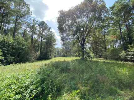 Property in Attala County, Mississippi