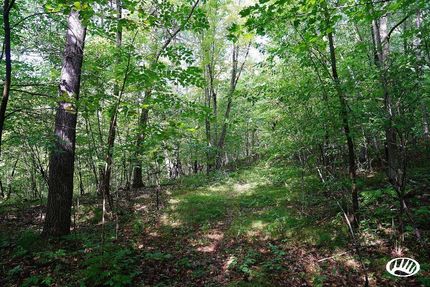 Property in Washburn County, Wisconsin