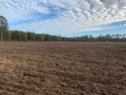 Property in Bossier Parish, Louisiana