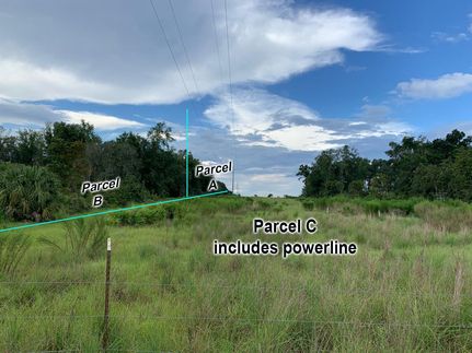 Property in Levy County, Florida