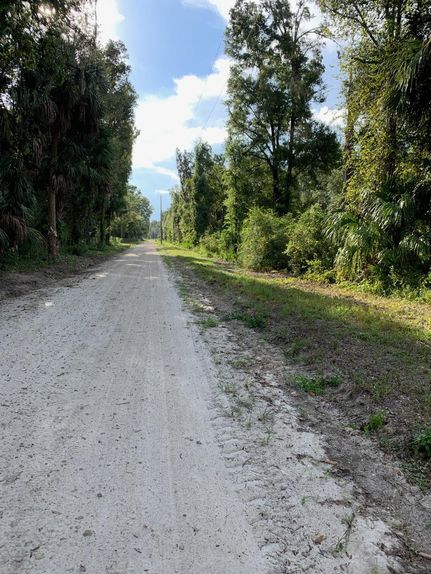 Property in Levy County, Florida