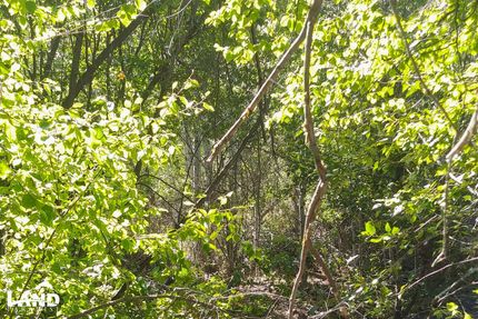 Property in Lemhi County, Idaho