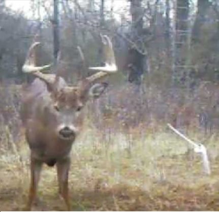 Property in Rowan County, North Carolina