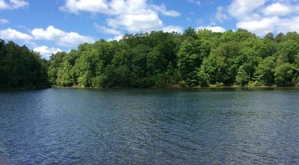 Property in Abbeville County, South Carolina