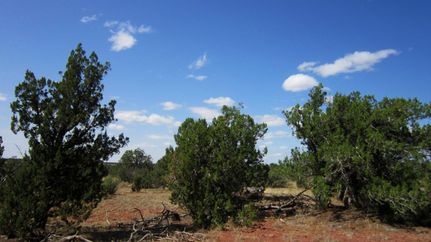Property in Coconino County, Arizona