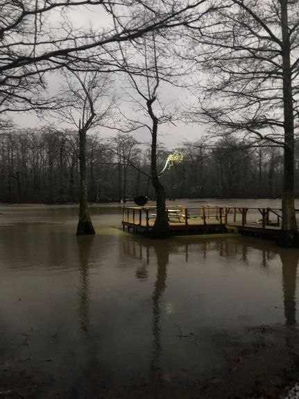 Property in Woodruff County, Arkansas