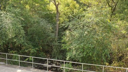 Property in Escambia County, Alabama