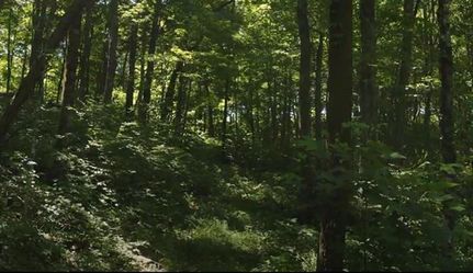 Property in Claiborne County, Tennessee