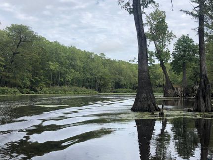 Property in Arkansas County, Arkansas