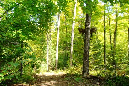 Property in Langlade County, Wisconsin