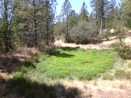 Property in Tuolumne County, California