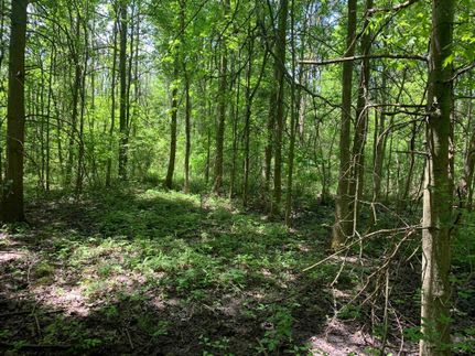 Property in Niagara County, New York