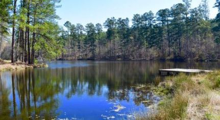 Property in Edgefield County, South Carolina