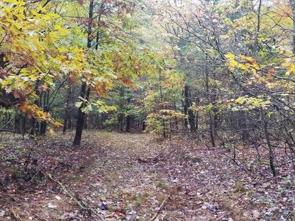 Property in Franklin County, Tennessee