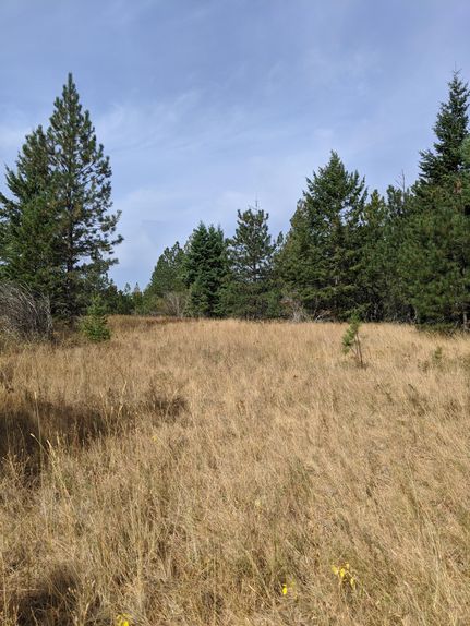 Property in Kootenai County, Idaho