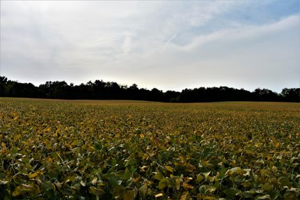 Property in Marshall County, Indiana