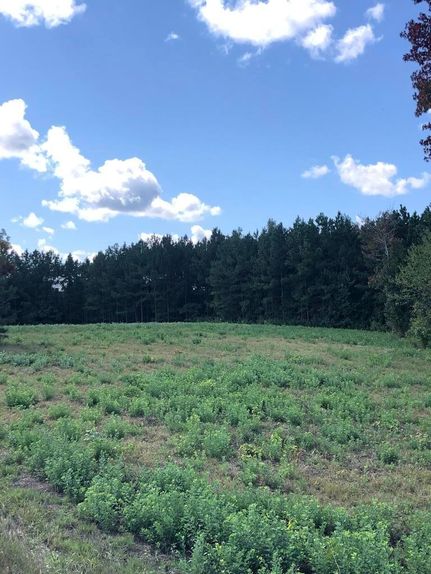 Property in Lauderdale County, Alabama