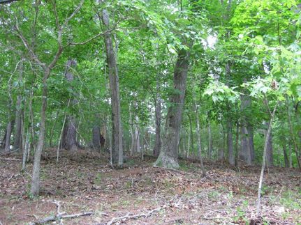 Property in Pulaski County, Virginia