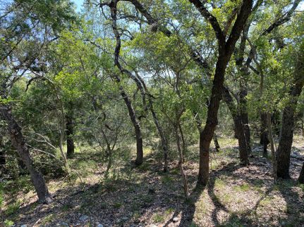 Recreational Property for sale in Edwards County, Texas