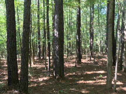 Property in Leake County, Mississippi