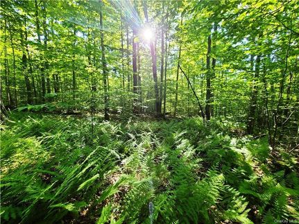 Property in Sullivan County, New York