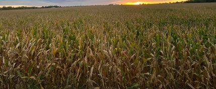 Property in McLean County, Illinois