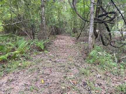 Property in West Feliciana Parish, Louisiana