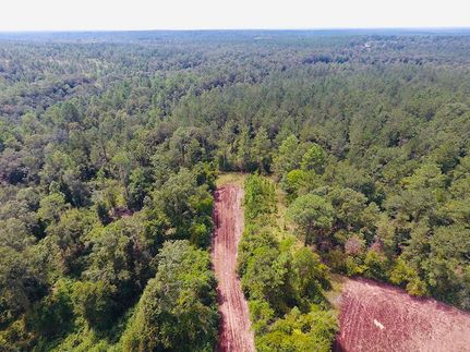 Property in Mobile County, Alabama