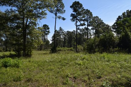 Property in Dooly County, Georgia