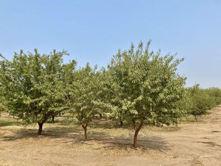 Property in Stanislaus County, California