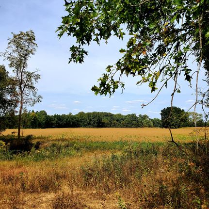 Property in Clay County, Indiana