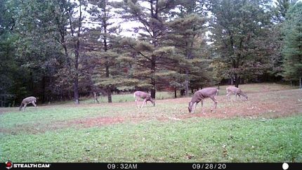 Property in Adams County, Wisconsin