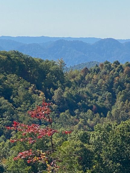 Property in Lee County, Virginia