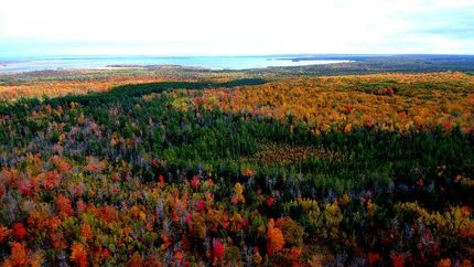 Property in Chippewa County, Michigan