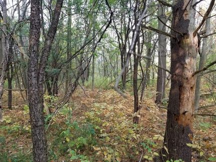 Property in Tompkins County, New York